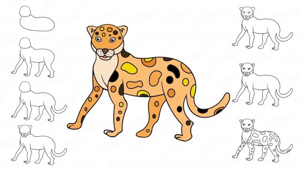 Гепард рисунок карандашом