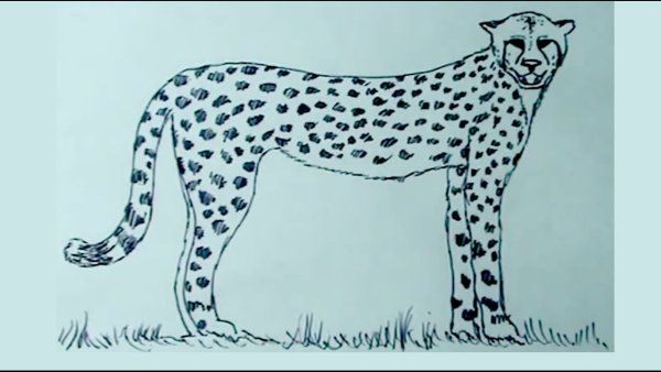 Животные для рисования