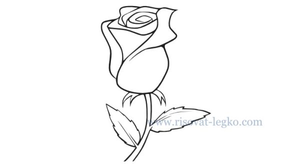 Роза рисунок детский лёгкий