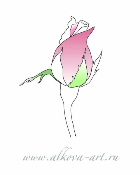 Нарисовать бутон розы