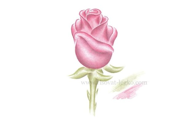 Бутон розы легко