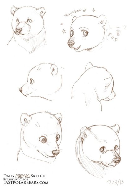 Рисование морды медведя