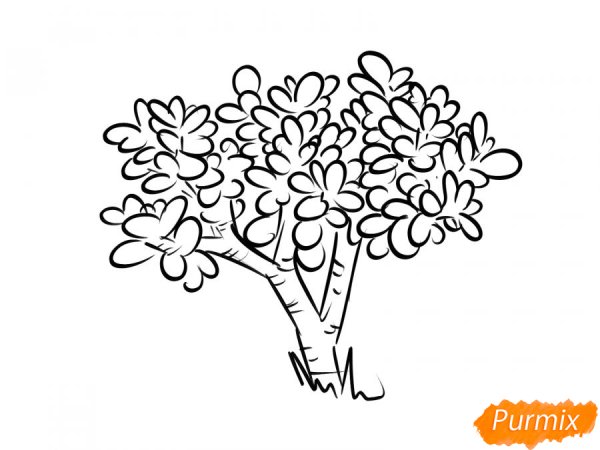 Денежное дерево карандашом