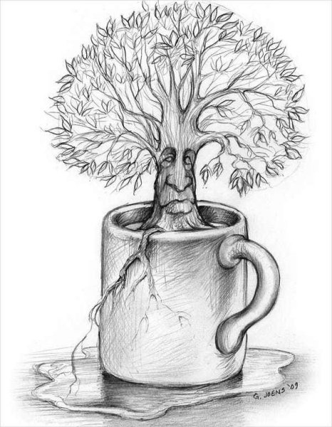 Денежное дерево рисунок карандашом