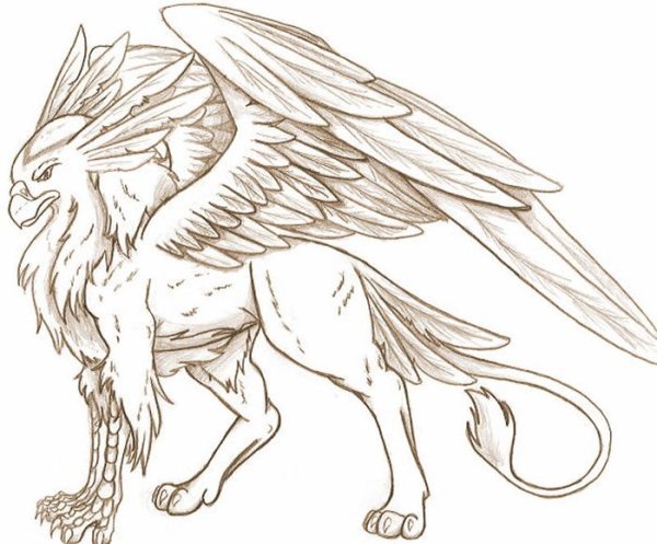 Грифон лайнарт