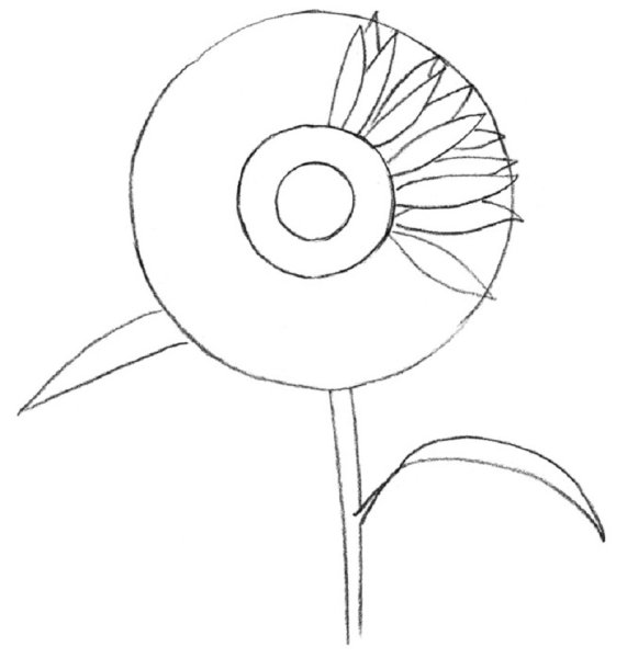 Поэтапное рисование цветов