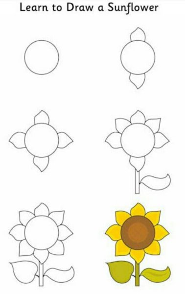 Поэтапное рисование подсолнуха