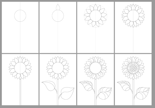 Подсолнух нарисовать легко