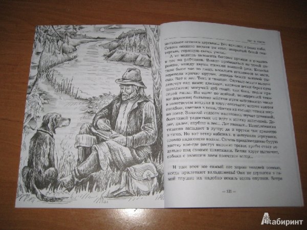 Бежин луг Федя раскраска