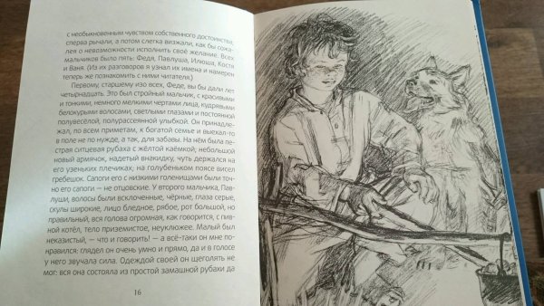 Иллюстрация к рассказу Бежин луг 6 класс