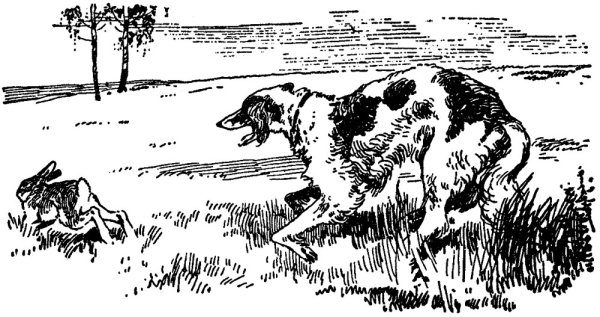 Тургенев Записки охотника лес и степь