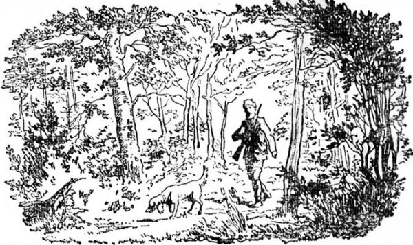 Иллюстрация к рассказу Бирюк легко