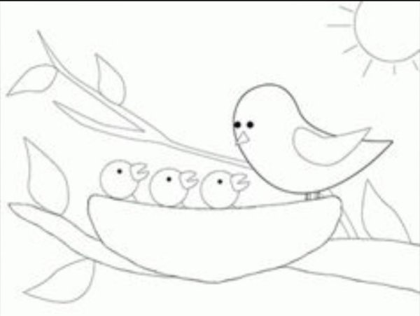 Поэтапное рисование птицы в гнезде