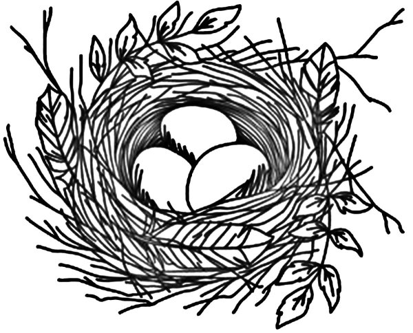 Рисование птицы в гнезде