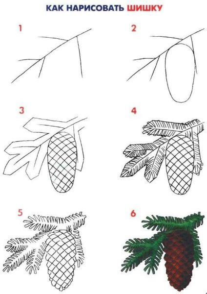 Рисование Еловая веточка