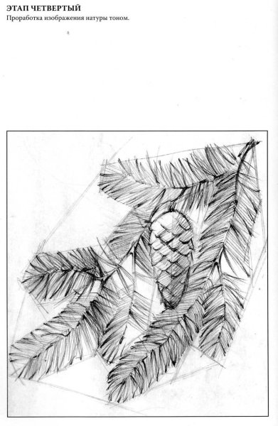 Рисование штрихами простым карандашом