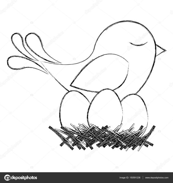 Задание птичка в гнезде