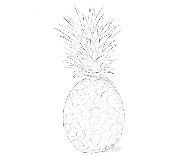 Ананас рисунок для детей карандашом