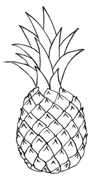 Ананас для срисовки