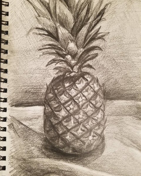 Ананас карандашом