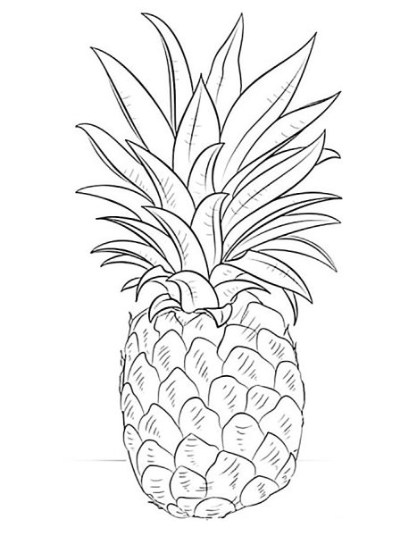 Рисунок ананаса для срисовки