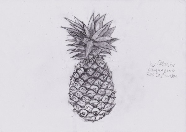 Ананас карандашом