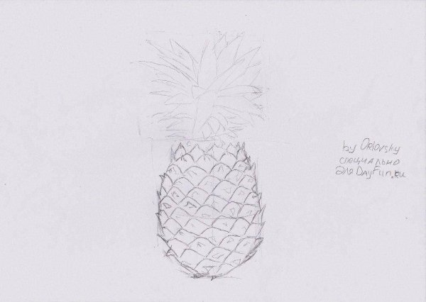 Рисуем ананас поэтапно