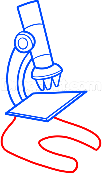 Зарисовать строение микроскопа