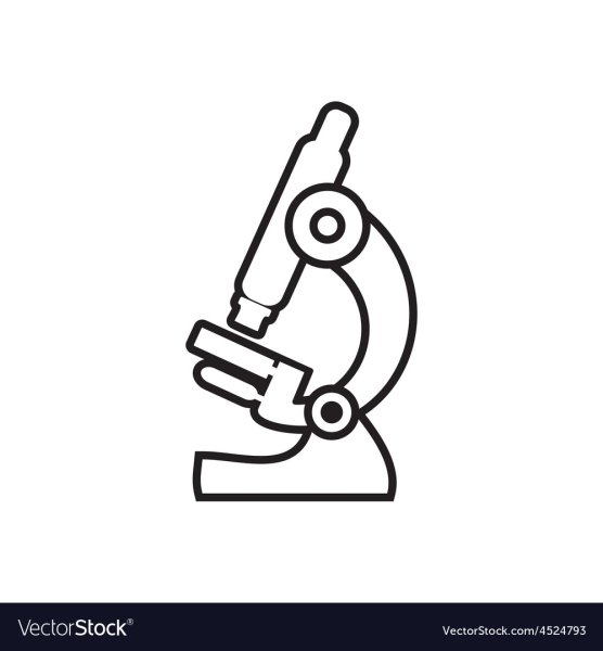 Микроскоп рисунок