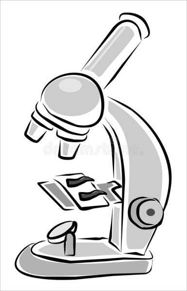 Зарисовать микроскоп