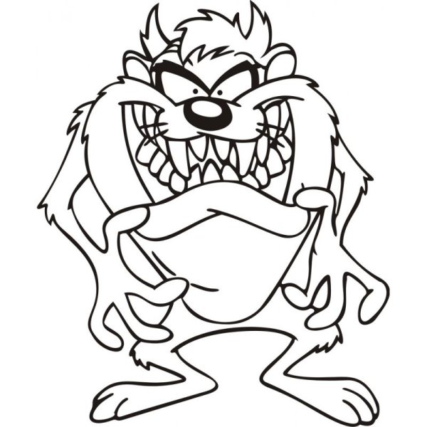 Тасманский дьявол с детенышами рисунок карандашом