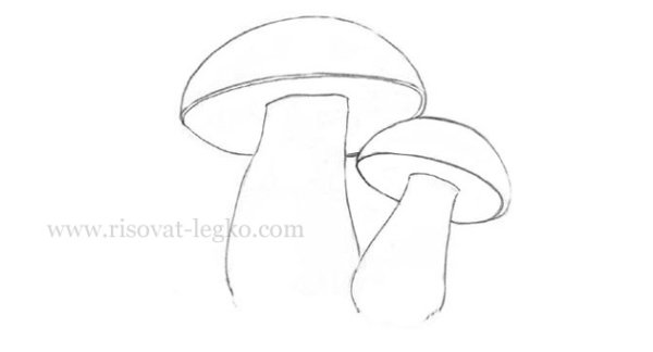 Грибы Графика черно белые