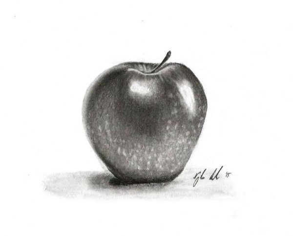 Откусанное яблоко рисунок карандашом