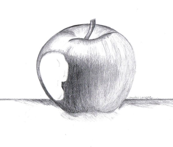Яблоко рисунок карандашом