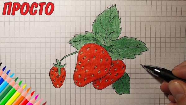 Клубника рисунок легко