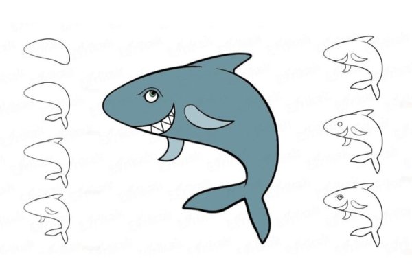 Легкие рисунки акулы