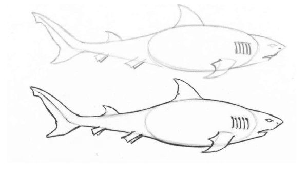 Поэтапное рисование акулы для детей