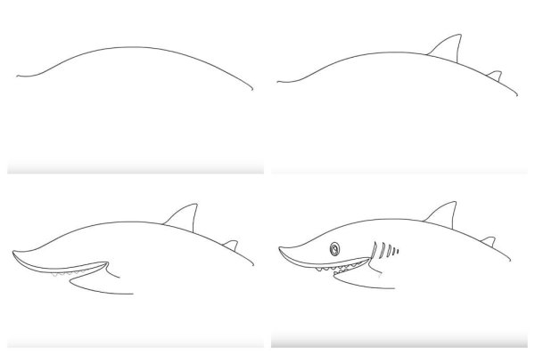 Акула рисунок для детей карандашом