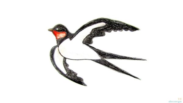 Рисование Ласточка