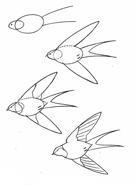 Рисование птиц