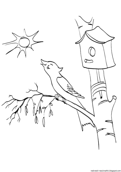 Скворечник раскраска для детей