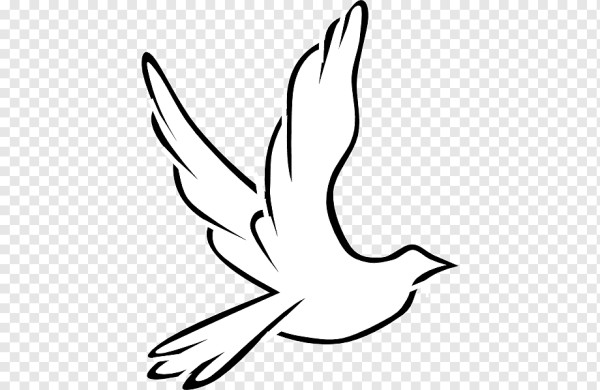 Птицы для срисовки легкие