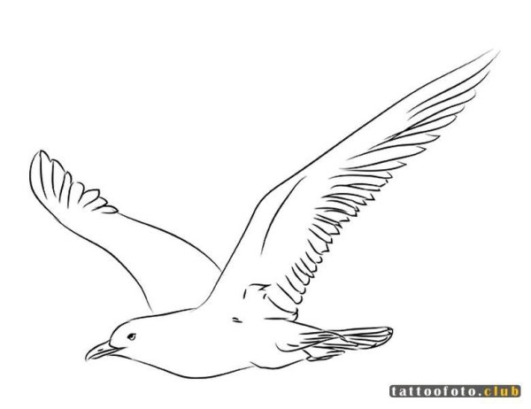 Чайки рисунок