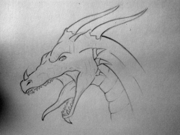 Поэтапное рисование головы дракона
