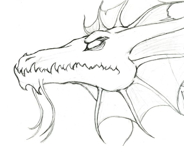 Морда дракона карандашом