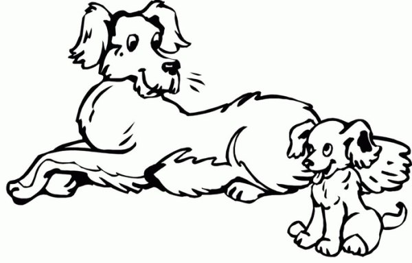 Куприн Барбос и Жулька рисунок