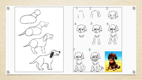 Барбос и Жулька рисунок карандашом