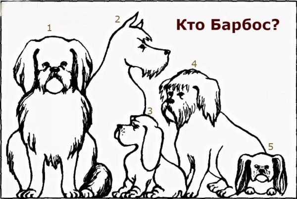 2. «Барбос и Жулька» а.и. Куприн