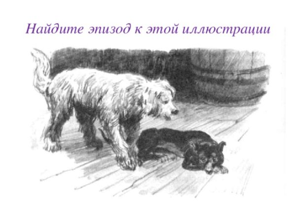 Постойко мамин Сибиряк собаки