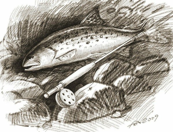 Рыбалка зарисовки